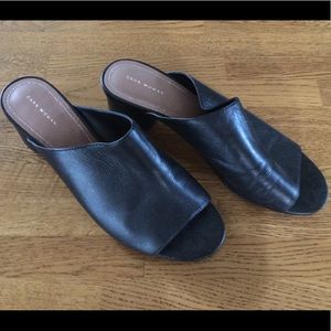 Zara Woman Peep Toe Mules
